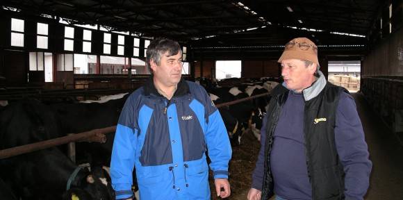 VLASTNÍ JATKA | Zemědělské obchodní družstvo Božejov | Pelhřimov